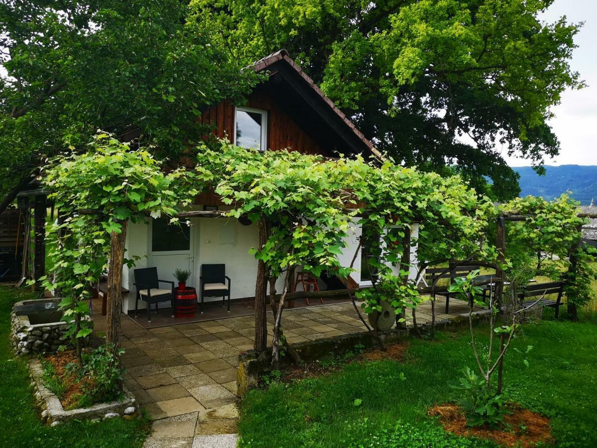 Guesthouse Ankl Lesce  Exterior photo